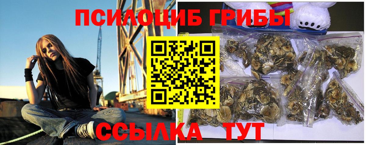 Псилоцибиновые грибы Cubensis  Вход с VPN  Керчь 